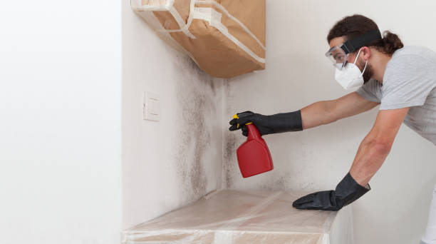 Professional Mold Inspection And Testing technician working in Framingham, MA